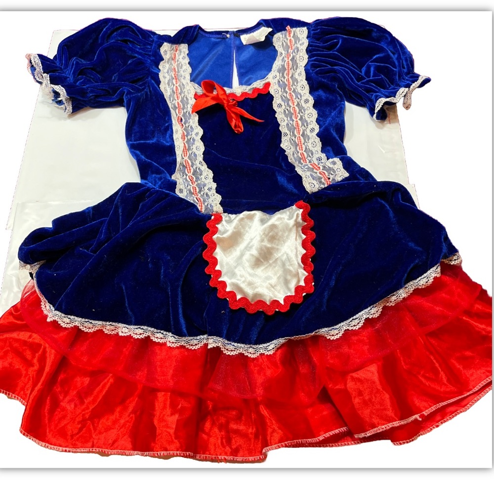Raggedy Ann BLUE velvet DRESS JUNIORS SIZE 7-9 RAG DOLL MAID HALLOWEEN COSTUME M